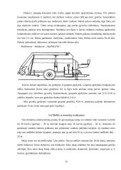 Tvarto rekonstrukcija į 64 vietų karvidę 15 puslapis