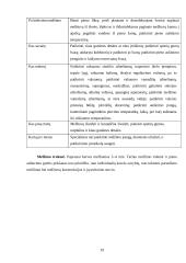 Tvarto rekonstrukcija į 64 vietų karvidę 19 puslapis