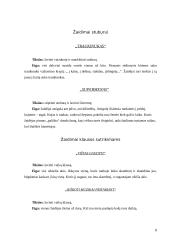 Ugdymas žaidimais 8 puslapis