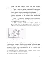 Ūkinės veiklos cikliškumas ir jo priežastys 11 puslapis