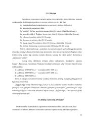 Ūkinės veiklos cikliškumas ir jo priežastys 13 puslapis