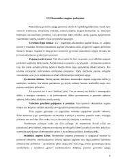 Ūkinės veiklos cikliškumas ir jo priežastys 6 puslapis