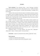 V. Mykolaičio-Putino biografija ir jo eilėraštis "Rūpintojėlis" 2 puslapis