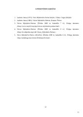 V. Mykolaičio-Putino biografija ir jo eilėraštis "Rūpintojėlis" 11 puslapis