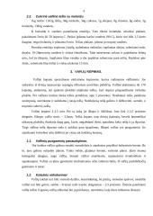 Vaflinės tešlos 4 puslapis