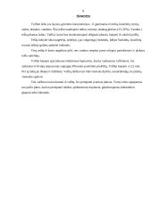 Vaflinės tešlos 8 puslapis