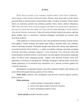 Vaiko pareigingumas globos namuose 2 puslapis