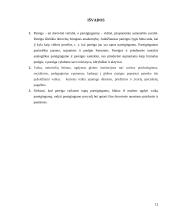 Vaiko pareigingumas globos namuose 11 puslapis