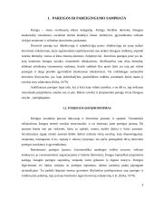 Vaiko pareigingumas globos namuose 3 puslapis