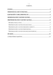 Vaiko parengimas mokyklai 2 puslapis