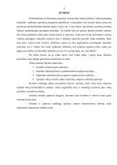 Vaiko parengimas mokyklai 3 puslapis