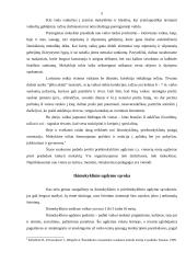 Vaiko parengimas mokyklai 5 puslapis