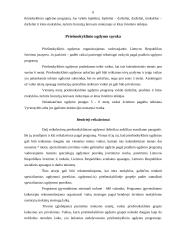 Vaiko parengimas mokyklai 6 puslapis