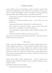 Vaikų formalus ir neformalus meninis ugdymas mokykloje. Muzika 5 puslapis