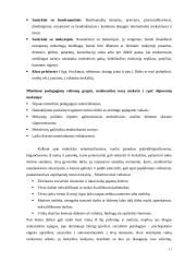 Vaikų mokymosi motyvacijos silpnėjimo priežastys 11 puslapis