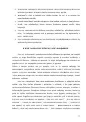 Vaikų mokymosi motyvacijos silpnėjimo priežastys 13 puslapis