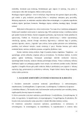 Vaikų mokymosi motyvacijos silpnėjimo priežastys 14 puslapis