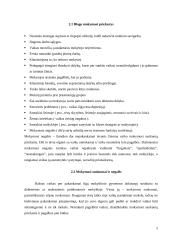 Vaikų mokymosi motyvacijos silpnėjimo priežastys 9 puslapis