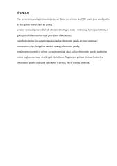 Elektroninis parašas 12 puslapis