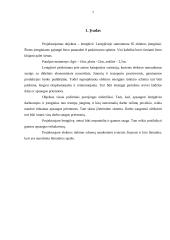 Elektros instaliacijos suprojektavimas 2 puslapis