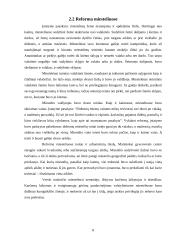 Valakų reformos reikšmė LDK visuomeniniame ekonominiame gyvenime 8 puslapis