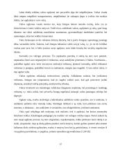 Valios ir valingumo samprata 11 puslapis