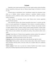 Valios ir valingumo samprata 12 puslapis