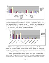 Valios ir valingumo samprata 13 puslapis