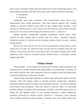 Valios ir valingumo samprata 4 puslapis