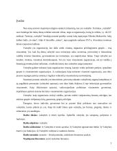 Valstybė ir teisė. Samprata, požymiai ir funkcijos 2 puslapis