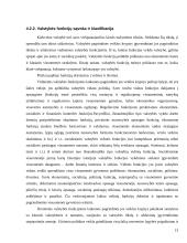 Valstybė ir teisė. Samprata, požymiai ir funkcijos 13 puslapis