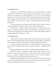 Valstybė ir teisė. Samprata, požymiai ir funkcijos 16 puslapis