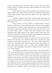 Valstybinės žemės pardavimas ir nuoma 11 puslapis