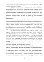 Valstybinės žemės pardavimas ir nuoma 12 puslapis