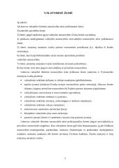 Valstybinės žemės pardavimas ir nuoma 5 puslapis