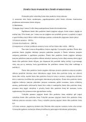 Valstybinės žemės pardavimas ir nuoma 6 puslapis