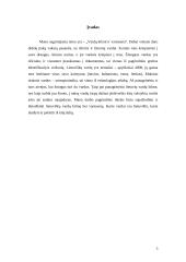 Vardų kilmė ir vartosena 3 puslapis