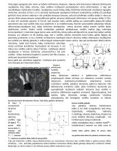 Variklio pakabos sistemos 4 puslapis