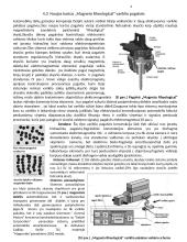 Variklio pakabos sistemos 6 puslapis