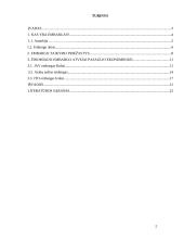 Embargas, jo taikymo priežastys ir atvejai pasaulio ekonomikoje 2 puslapis