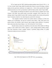 Embargas, jo taikymo priežastys ir atvejai pasaulio ekonomikoje 15 puslapis