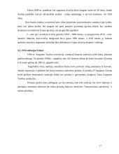 Embargas, jo taikymo priežastys ir atvejai pasaulio ekonomikoje 17 puslapis