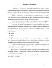 Embargas, jo taikymo priežastys ir atvejai pasaulio ekonomikoje 4 puslapis