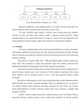 Embargas, jo taikymo priežastys ir atvejai pasaulio ekonomikoje 5 puslapis