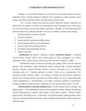 Embargas, jo taikymo priežastys ir atvejai pasaulio ekonomikoje 8 puslapis