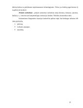 Embargas, jo taikymo priežastys ir atvejai pasaulio ekonomikoje 10 puslapis