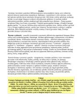 Vartotojų sauga 2 puslapis