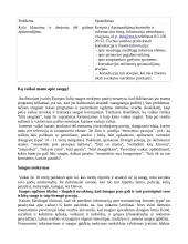 Vartotojų sauga 8 puslapis