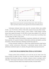Energetinių išteklių kainos pokyčių įtaka Baltijos šalių ekonominiams rodikliams 2004-2009 metais 13 puslapis