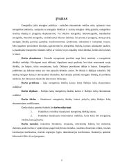Energetinių išteklių kainos pokyčių įtaka Baltijos šalių ekonominiams rodikliams 2004-2009 metais 3 puslapis